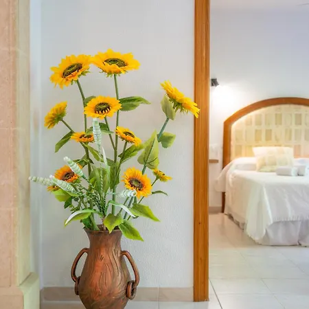 Can Vila Villa *